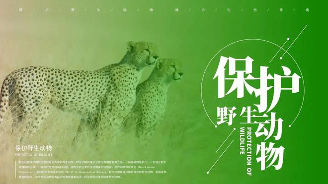 澳门新葡萄新京6663官方网站世界野生动植物保护日到了保护野生动物环保主题PPT